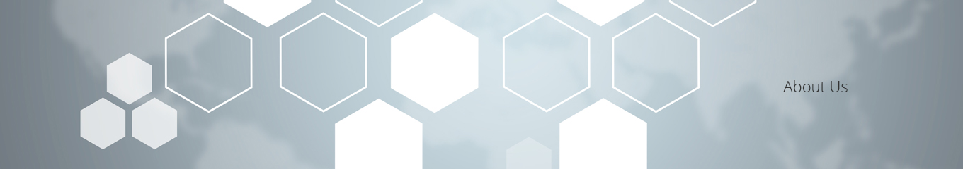 Security Systems Integrator