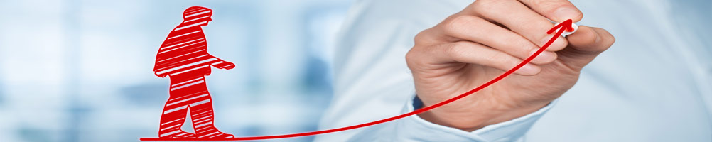 Security Systems Integrator