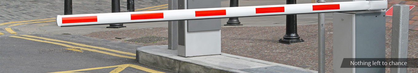 Security Systems Integrator