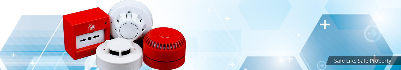 Security Systems Integrator